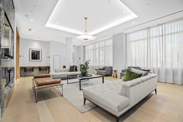 living room with light hardwood / wood-style floors and a raised ceiling