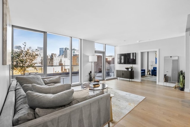 living room with light hardwood / wood-style floors and expansive windows