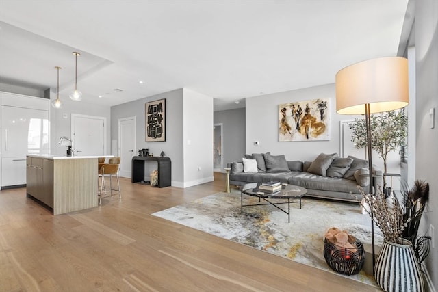 living room featuring light wood-type flooring