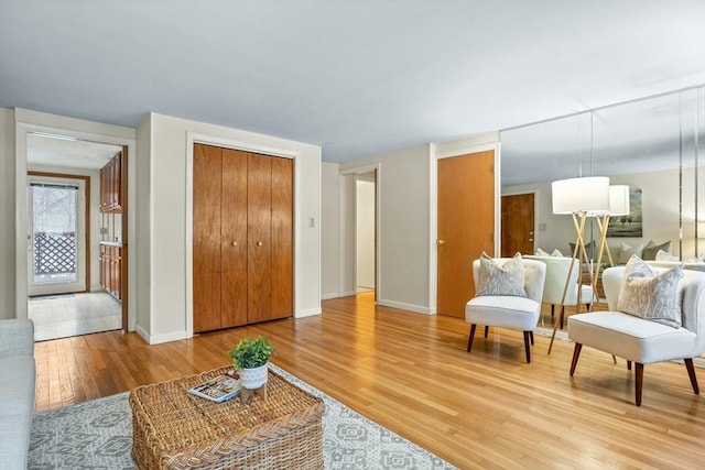 living room with hardwood / wood-style flooring