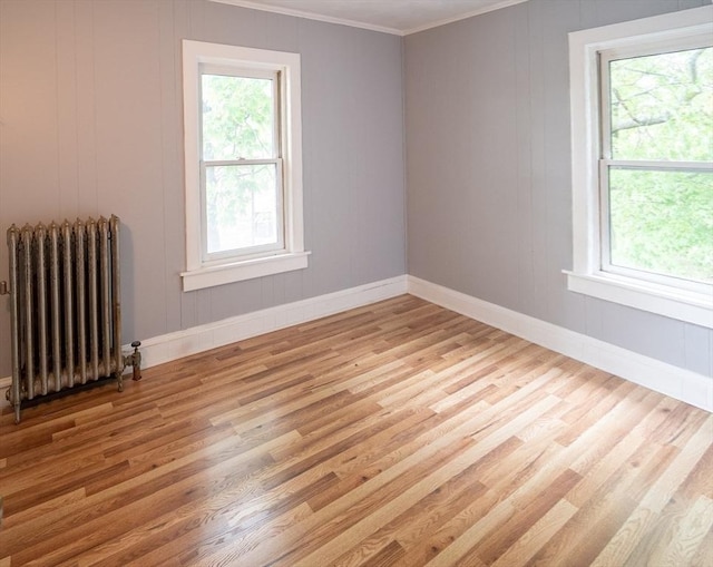 73 Sladen St, Dracut, MA 01826 - spare room with radiator, ornamental molding, light wood-style flooring, healthy amount of natural light, and a decorative wall