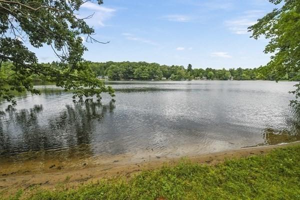 water view with a forest view