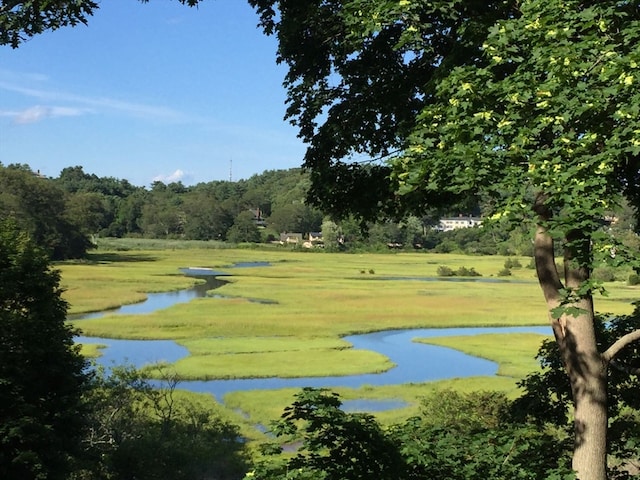 view of community featuring a water view and a yard