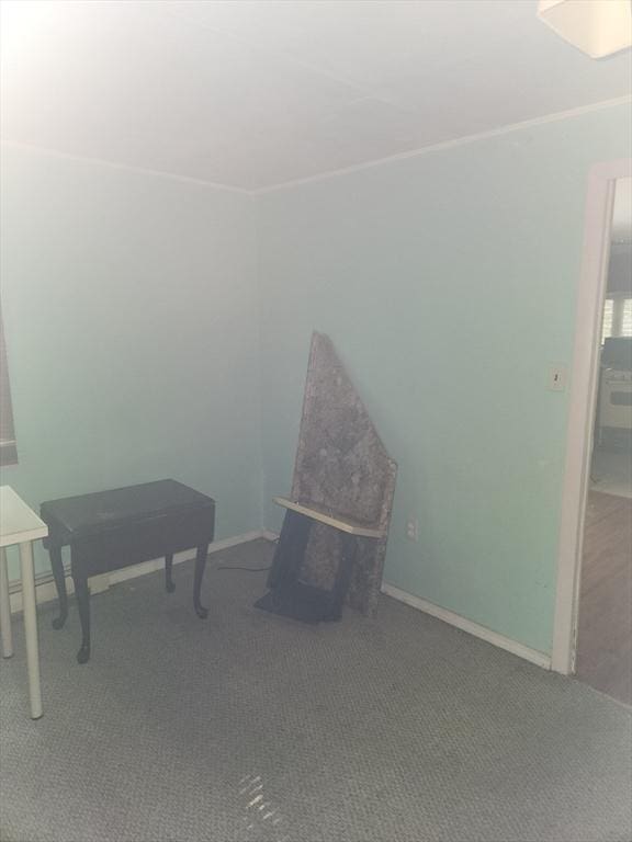 35 Hillcrest St, Waltham, MA 02451 - misc room with carpet flooring