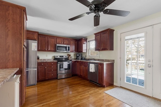 kitchen with wood finished floors, a ceiling fan, stainless steel appliances, and a sink