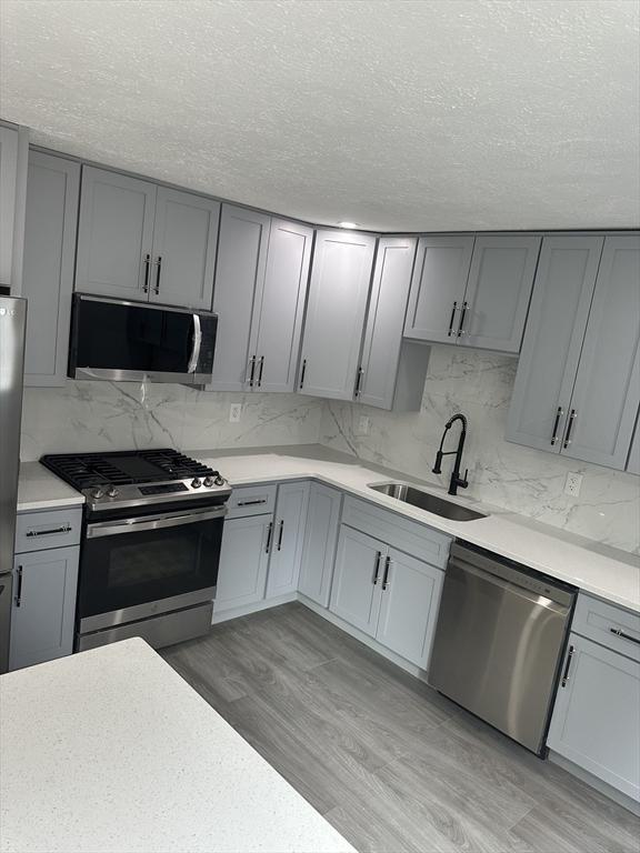 kitchen featuring a sink, stainless steel appliances, and gray cabinets
