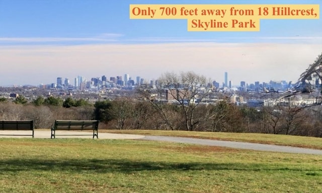 view of community with a view of city and a lawn