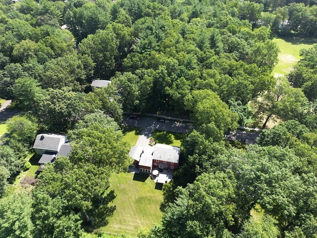 82 Knollwood Dr, Longmeadow, MA 01106 - view of property location featuring a forest