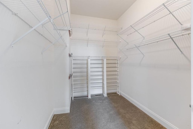 12 Skipping Stone, Plymouth, MA 02360 - spacious closet featuring carpet