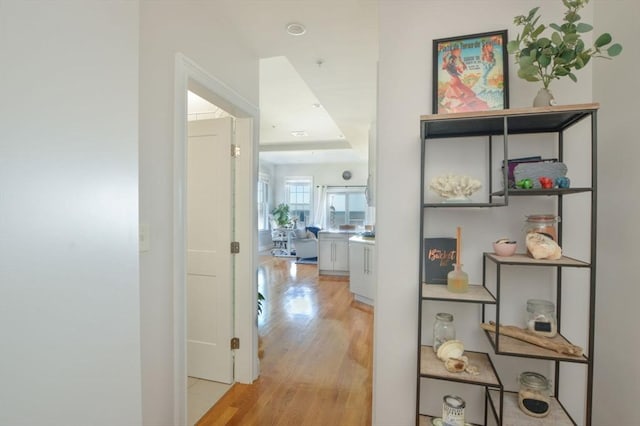 148 Winthrop Shore Dr Unit 5, Winthrop, MA 02152 - hall with light wood-style flooring