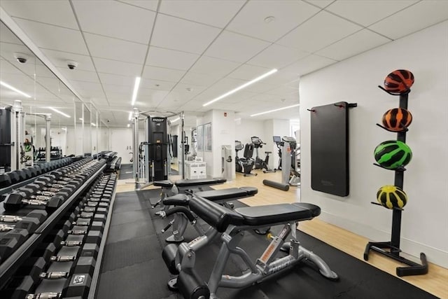 workout area with a paneled ceiling, baseboards, and wood finished floors