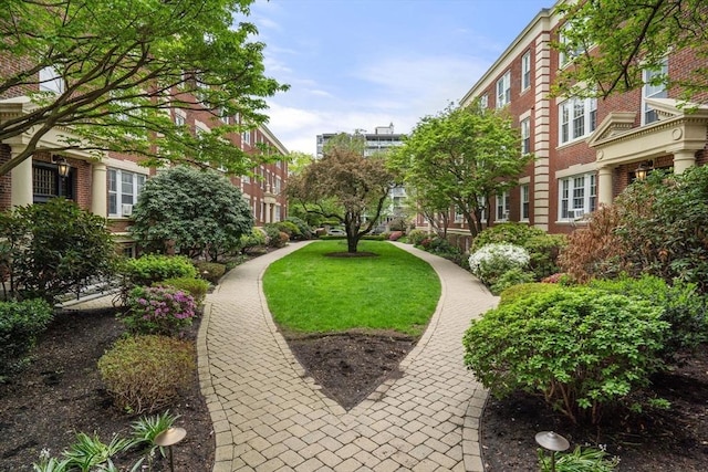 59 Babcock St Unit 5, Brookline, MA 02446 - view of community