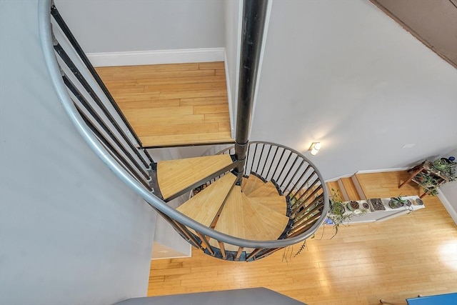 28 Broad St Unit 203, Marlborough, MA 01752 - stairs featuring wood finished floors and baseboards