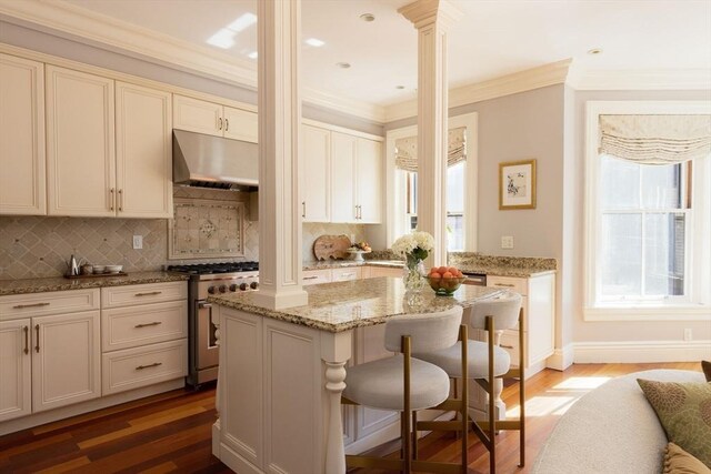 392 Marlborough St Unit 3, Boston, MA 02115 - kitchen featuring under cabinet range hood, light wood-style floors, high end stainless steel range, and tasteful backsplash