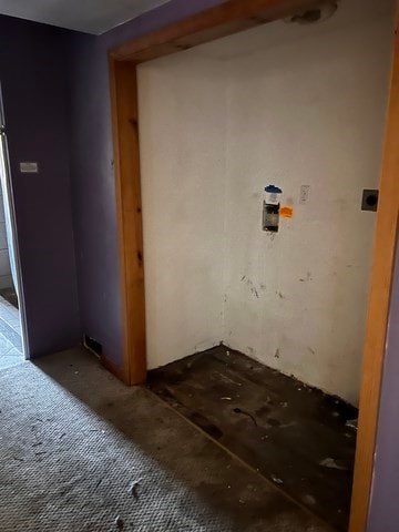 clothes washing area featuring carpet flooring