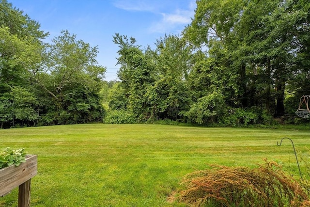 728 Auburn St Unit E4, Whitman, MA 02382 - view of grassy yard