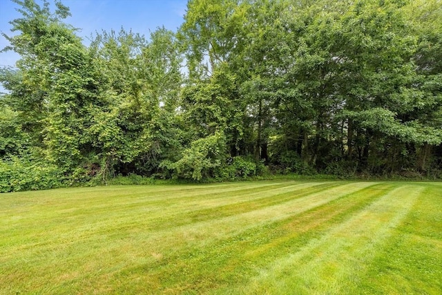 728 Auburn St Unit E4, Whitman, MA 02382 - view of grassy yard