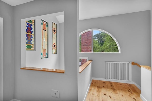 4 Benjamin Pl Unit 4, Brookline, MA 02467 - hallway with hardwood / wood-style flooring and radiator