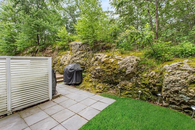 4 Benjamin Pl Unit 4, Brookline, MA 02467 - view of grassy yard featuring a patio