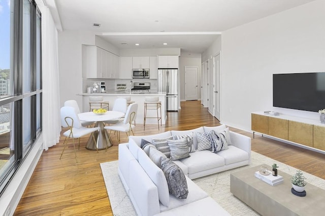 living room with light wood-type flooring and sink