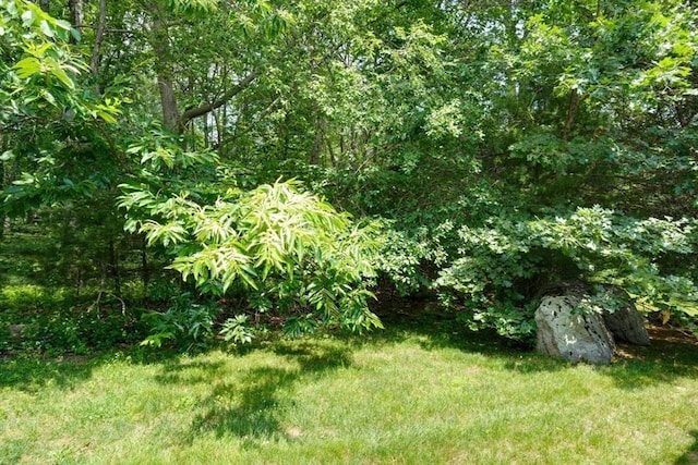 39 Balancing Rock Dr Unit 39, Holliston, MA 01746 - view of yard