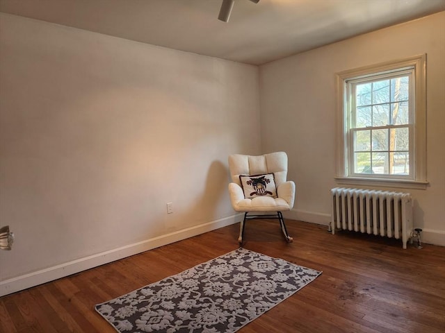 living area featuring radiator, hardwood / wood-style floors, and ceiling fan