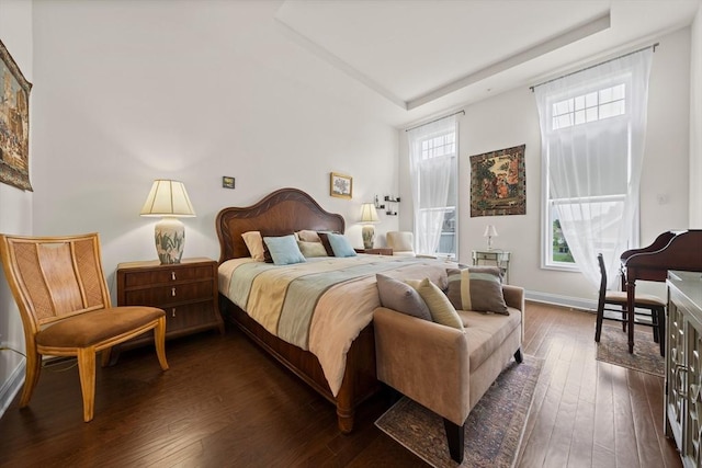 4 Helen Ln Unit 4, Millis, MA 02054 - bedroom featuring dark wood finished floors, a tray ceiling, and baseboards