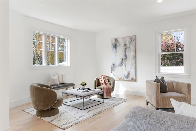 living area featuring light hardwood / wood-style floors