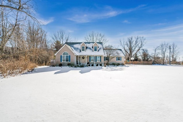 view of cape cod house