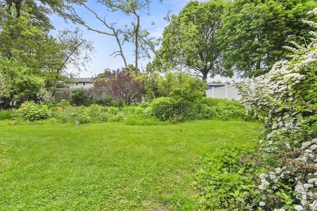 40 Winslow Rd, Quincy, MA 02171 - view of yard