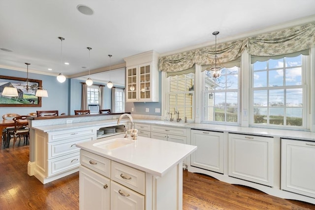 kitchen with dark wood-style flooring, glass insert cabinets, and a sink