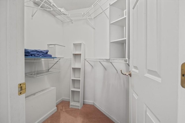 spacious closet with carpet floors