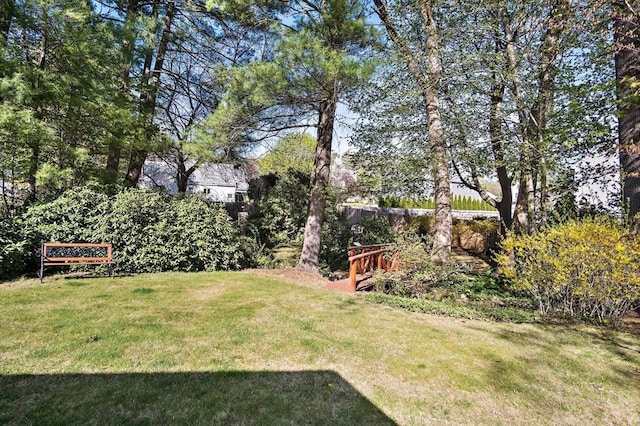 view of yard