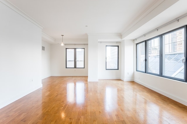 unfurnished room with light wood-type flooring, a raised ceiling, plenty of natural light, and ornamental molding