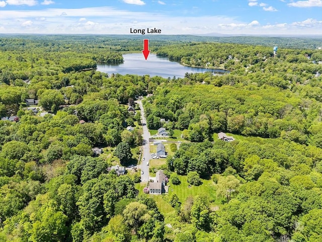 34 Fletcher Ln, Littleton, MA 01460 - bird's eye view of a forest and a large body of water
