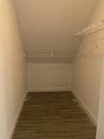 walk in closet featuring hardwood / wood-style floors