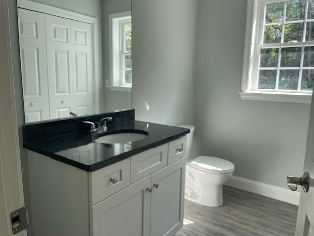 bathroom featuring vanity, toilet, and hardwood / wood-style floors