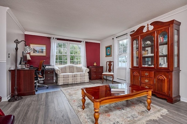 living area featuring a baseboard heating unit, crown molding, dark hardwood / wood-style floors, and a textured ceiling