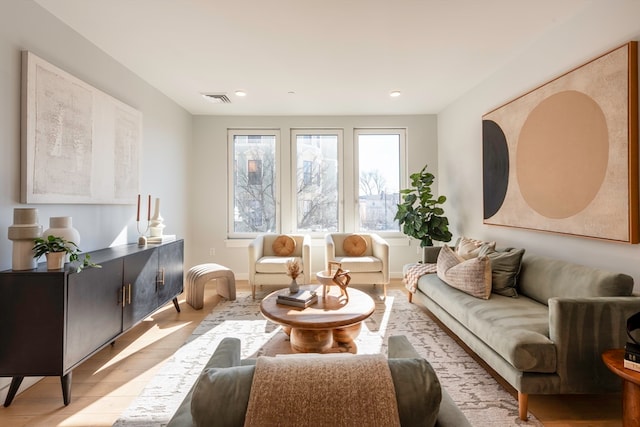 living room featuring light hardwood / wood-style flooring