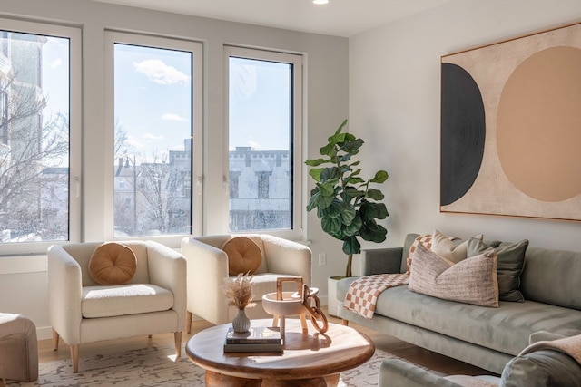 living room featuring hardwood / wood-style flooring and a wealth of natural light