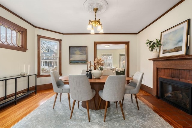 dining room with crown molding, a notable chandelier, wood finished floors, and plenty of natural light