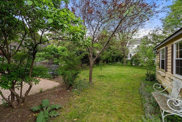 view of yard featuring a patio