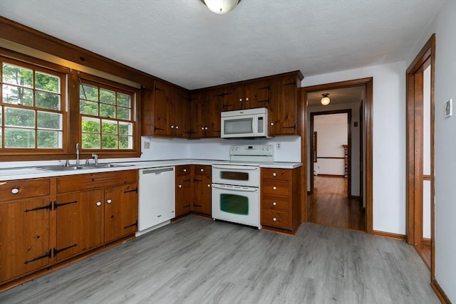 10 Whipple Rd, Hamilton, MA 01982 - kitchen featuring white appliances, a sink, light wood-type flooring, light countertops, and brown cabinetry
