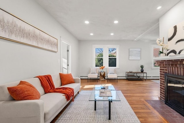 living room with a fireplace and hardwood / wood-style flooring