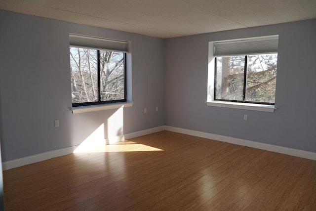 spare room with a healthy amount of sunlight and wood-type flooring