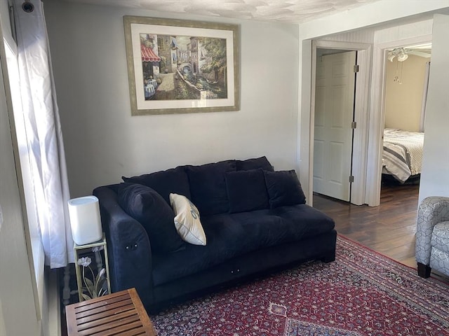 living room featuring dark wood-type flooring