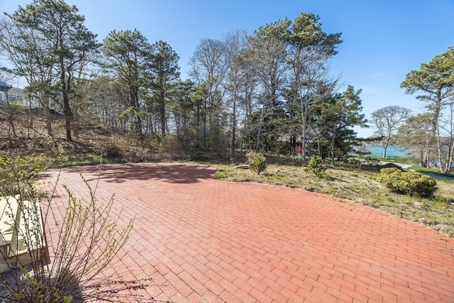 view of community with a water view and a patio
