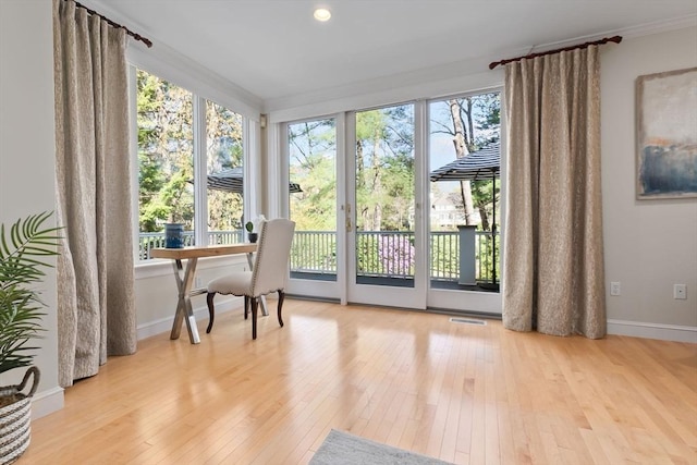 interior space featuring a healthy amount of sunlight, baseboards, and wood-type flooring