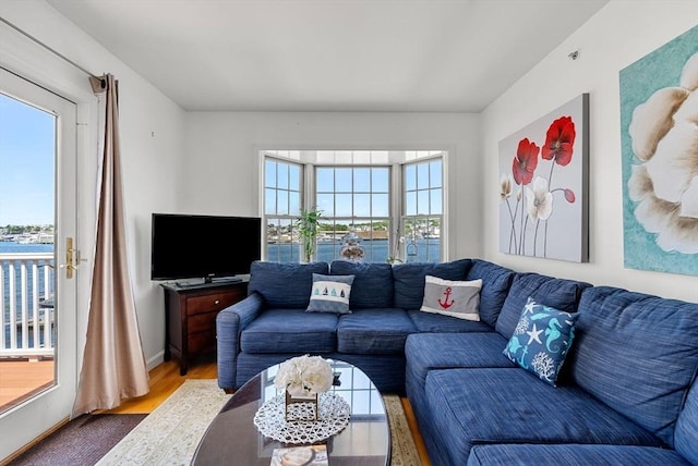 living area featuring baseboards and wood finished floors