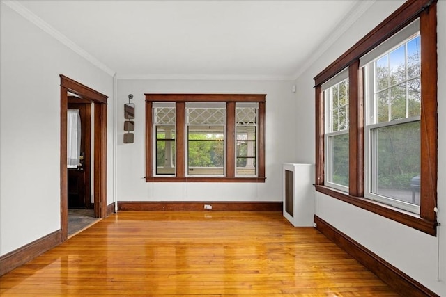 7 Vancroft Ave, Shrewsbury, MA 01545 - unfurnished room with crown molding, light wood finished floors, and baseboards